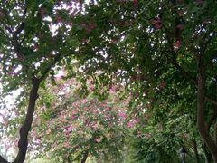 -怡海公园(桂城街道)