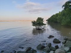 -宝安西湾红树林湿地公园