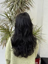 -FINE HAIR 烫染专业设计