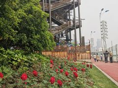 -北外滩滨江绿地