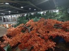 -老山东·山东菜(鲁菜名店)