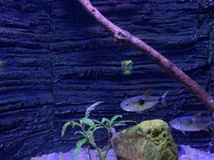 -上海海洋水族馆