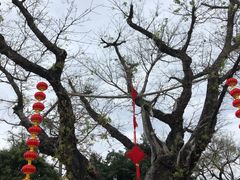 -宝墨园景区