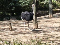 -杭州野生动物世界