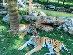 -北京野生动物园