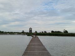 -盐城丹顶鹤湿地生态旅游区