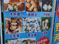 -云南野生菌石锅鱼石锅鸡(大金塔店)
