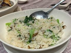 菜饭-圆山大饭店-圆苑餐厅