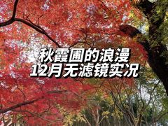 -秋霞圃