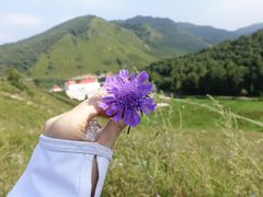 -北京灵山风景区