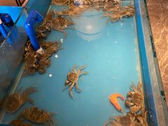 -星伦多 自助料理(圆融店)