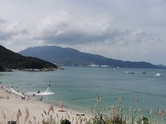 -杨梅坑