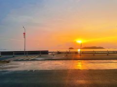 -巽寮湾海鲜批发码头