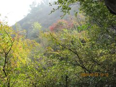 -鲁山国家森林公园