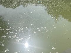 -三江森林温泉度假区