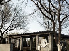 -永定河休闲森林公园