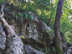 -九曜山
