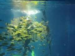 -常州海昌海洋探索馆