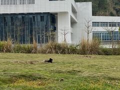 -福州大学(旗山校区)