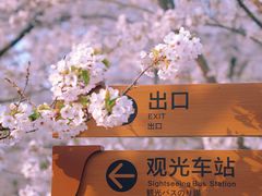 -苏州上方山国家森林公园