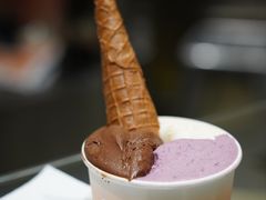 -Dip in Gelato(富民路店)