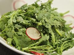 -新吉士·上海菜(浦东LCM置汇旭辉店)
