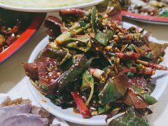 -东吴霸王兔(松青路店)