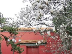 -北京市劳动人民文化宫(太庙)