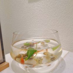 -水沐莲清瑜伽·普拉提