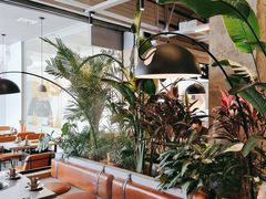 -七秒鱼·斑鱼火锅(太阳城店)