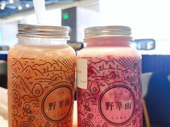 -野萃山·潮汕厚果汁(十亩地店)