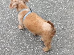 -狗舍宠物医院(四季商业广场店)