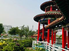 -曹州百花园