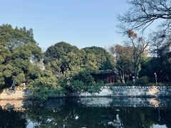 -柳侯公园