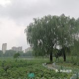 [打call]周末就要快乐的出去玩😁
  