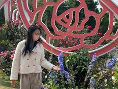 -人民公园(罗湖区)