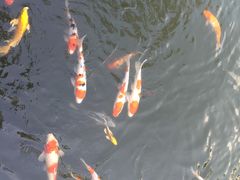 -杭州西湖柳莺里酒店