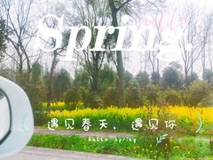 -蜀绣公园