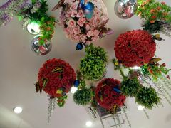 -摩登百货(岗顶店)