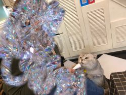 -众刺纹画·纹身·穿孔饰品·海娜定制