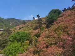 -木兰云雾山