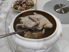 -姚林轩