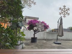 -禾气食店