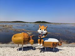 -南大港湿地风景区