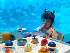 -涛·海底餐厅·美人鱼·自助餐·海底隧道(三亚海棠湾洲际度假酒店)