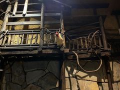 -盟重烧烤(高正街店)