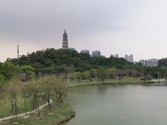 -顺峰山公园