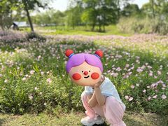 -贡湖湾湿地公园