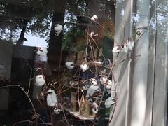 -無用生活空间(北京店)