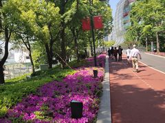 -北外滩滨江绿地